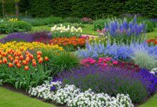 Blumenbeet gestalten mit Farbtheorie: So planen Sie harmonische Gartenbeete