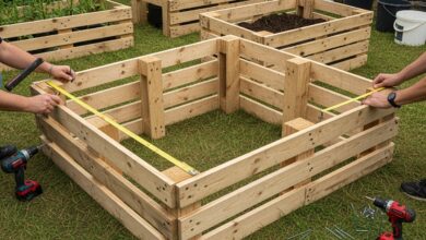 Hochbeet aus Paletten bauen