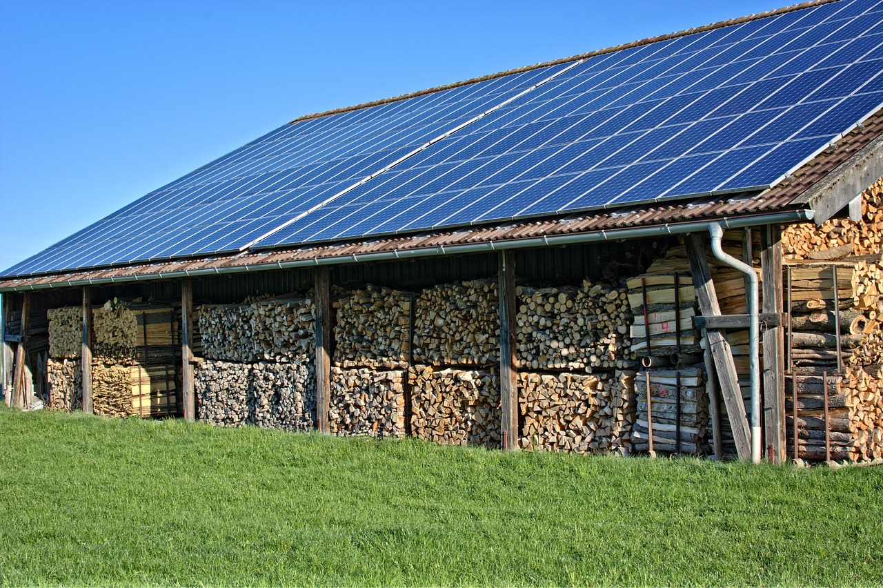 Ist Holz erneuerbare Energie?