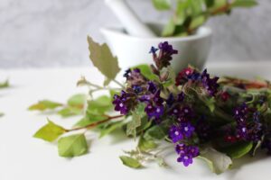 Welche Naturkosmetik kann man aus Pflanzen herstellen?