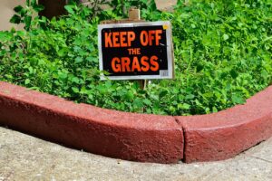 Rasenkantenband: So verhindern Sie das Übergreifen von Unkraut auf den Rasen