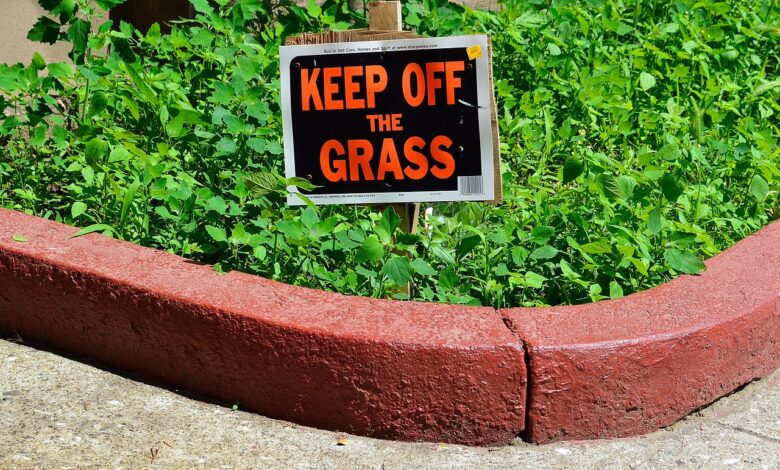 So verhindern Sie das Übergreifen von Unkraut auf den Rasen