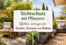 Sichtschutz mit Pflanzen Effektive Loesungen fuer Garten Terrasse und Balkon im Kuebel 1