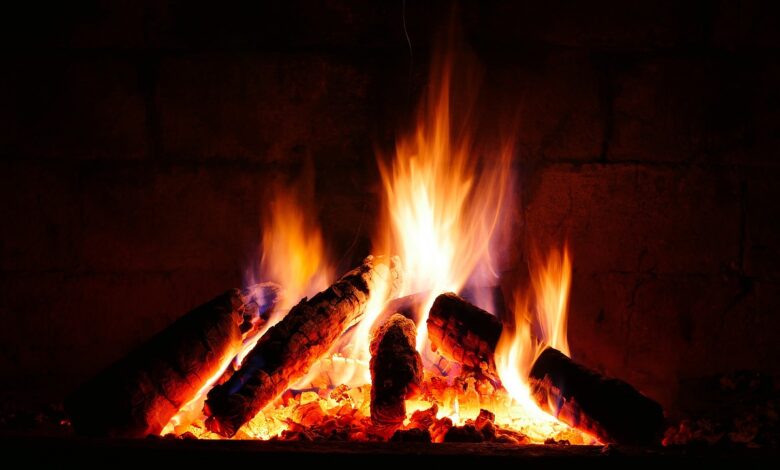 Welche Holzart ist bestes Brennholz für Kamin und Ofen?