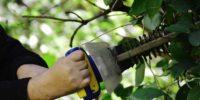 Gartengeräte richtig überwintern - Für langlebigere Geräte