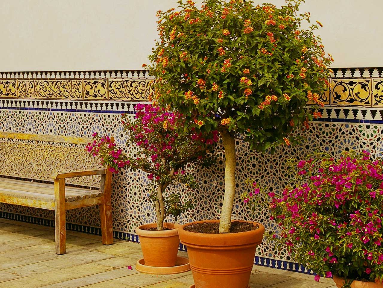 pflanzen balkon überwintern